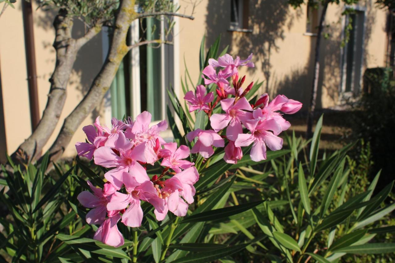 تشيزينا Toscana Biovillage المظهر الخارجي الصورة