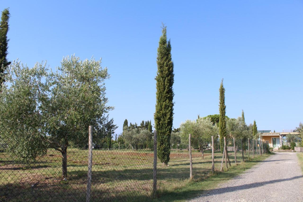 تشيزينا Toscana Biovillage المظهر الخارجي الصورة